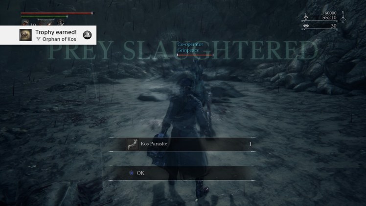 Bloodborne™_20170811224911